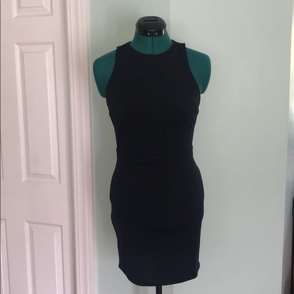 Blue Tobi Skater Dress
